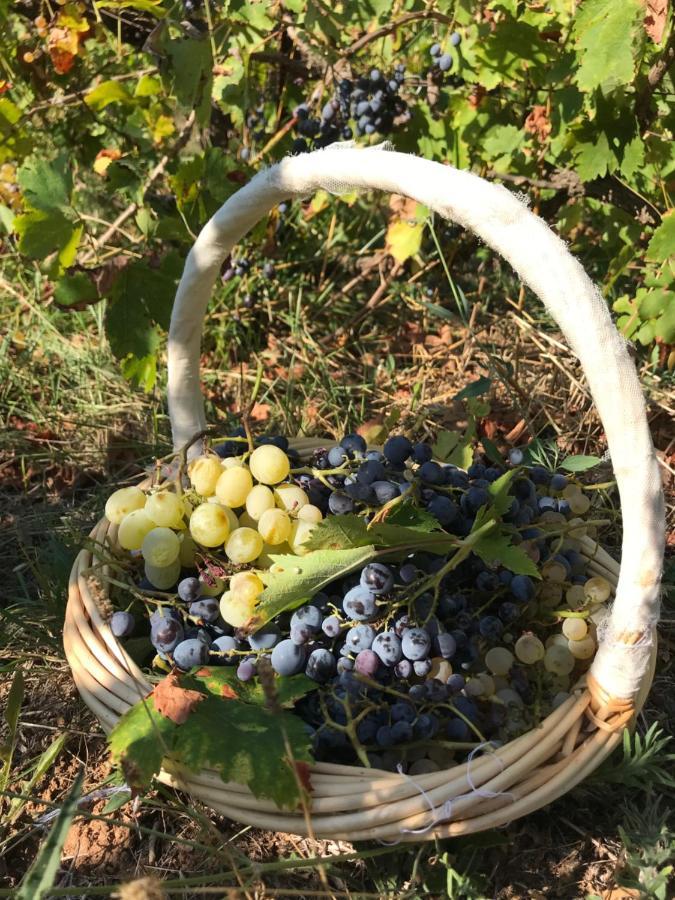 Superbe Bas De Villaix *